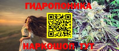 a pvp Краснодар