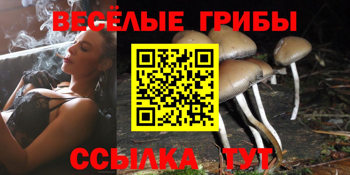 Камышлов  Псилоцибиновые грибы GOLDEN TEACHER  закладки  Вход с VPN 