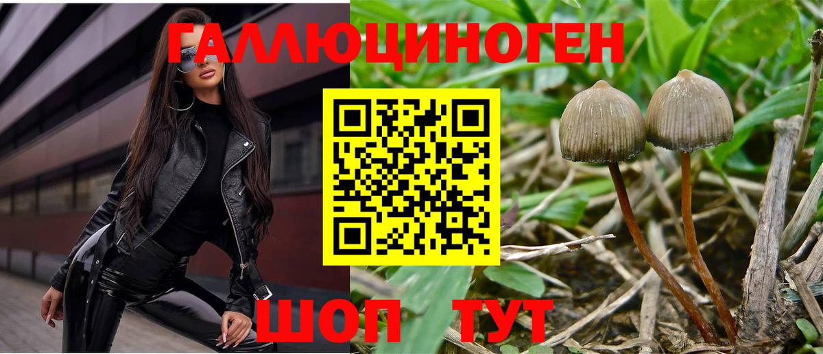 Галлюциногенные грибы прущие грибы Камышлов